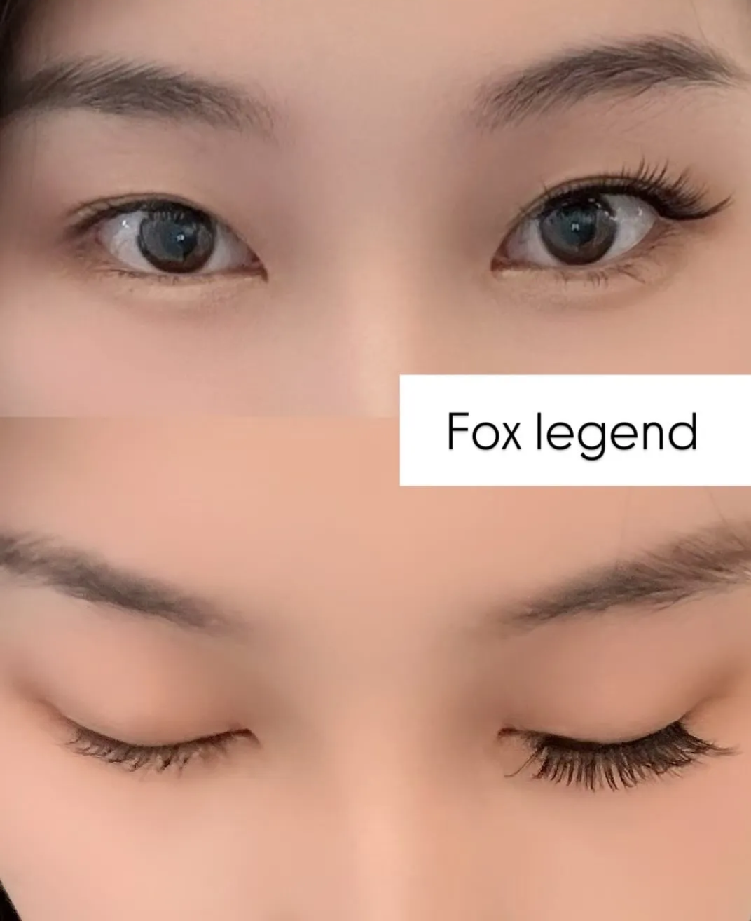 Wosado A Fox Legend  - Popular
